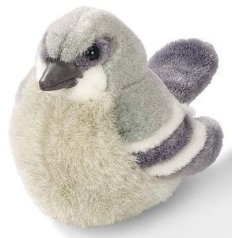 51vm2buvworl-_sy300_