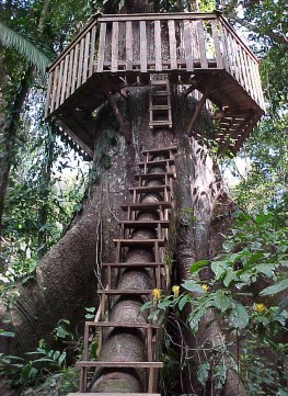 Treehouse_access_and_roundwalk
